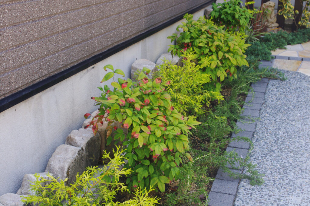 新しい植栽帯　明るい雰囲気になりました