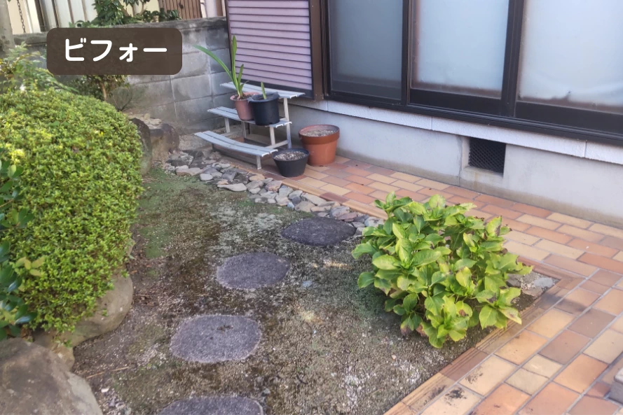 部屋の前は植栽のある庭でした