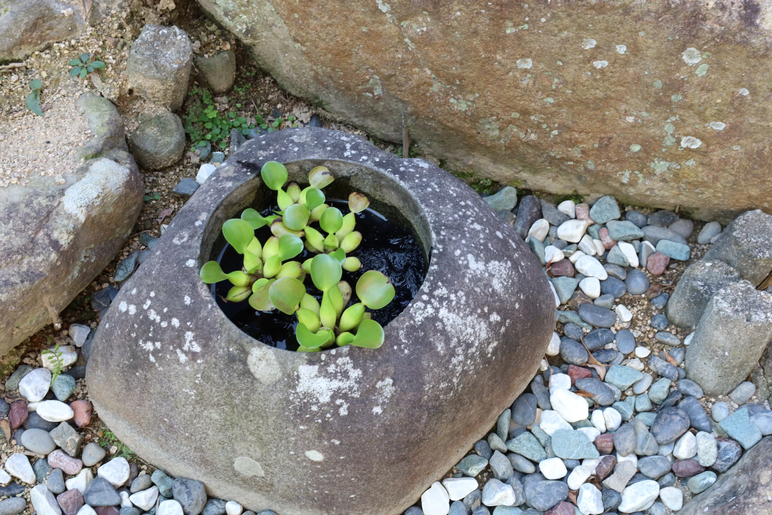既存の風景も引き継ぎます