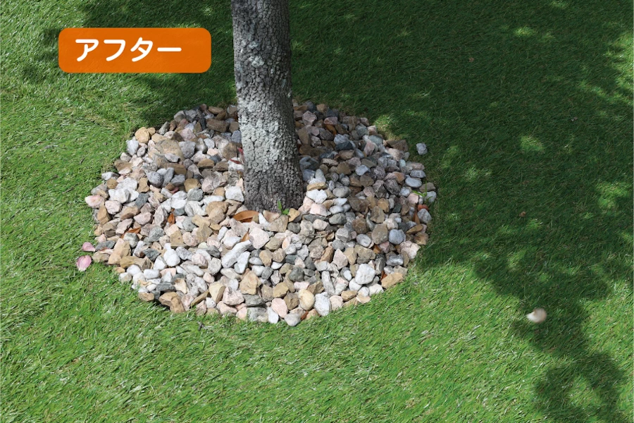 施工後 植木の根元