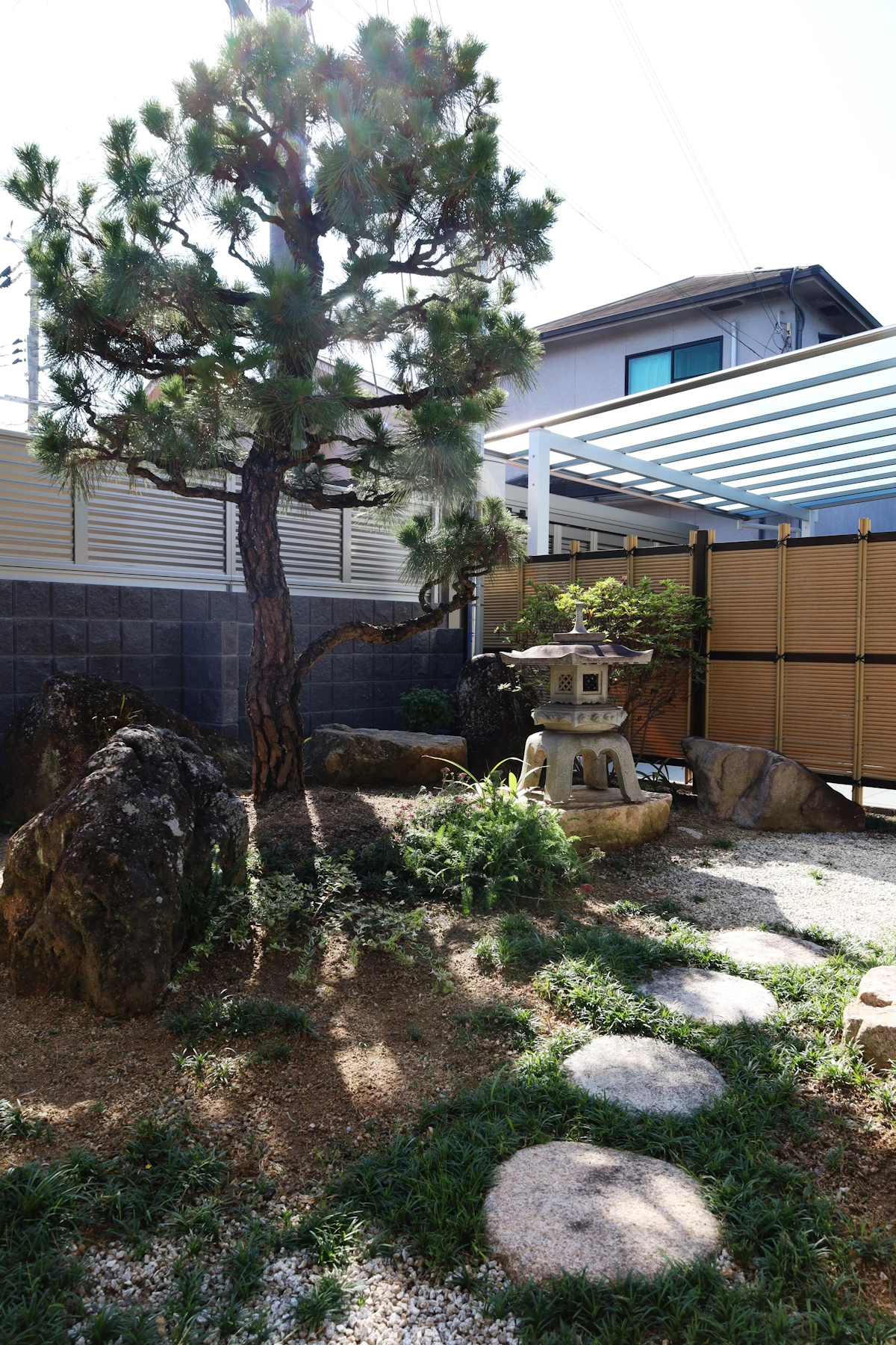 移植した松を中心とした和庭