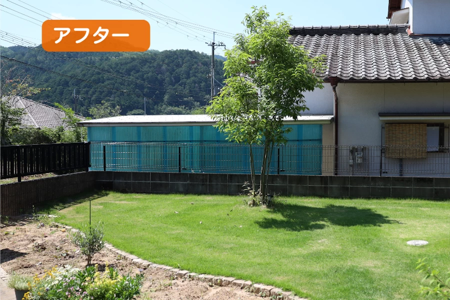 施工後　カシの木を残した庭