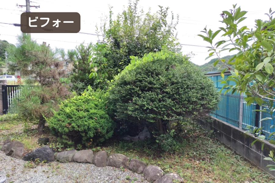 施工前　生い茂った植栽