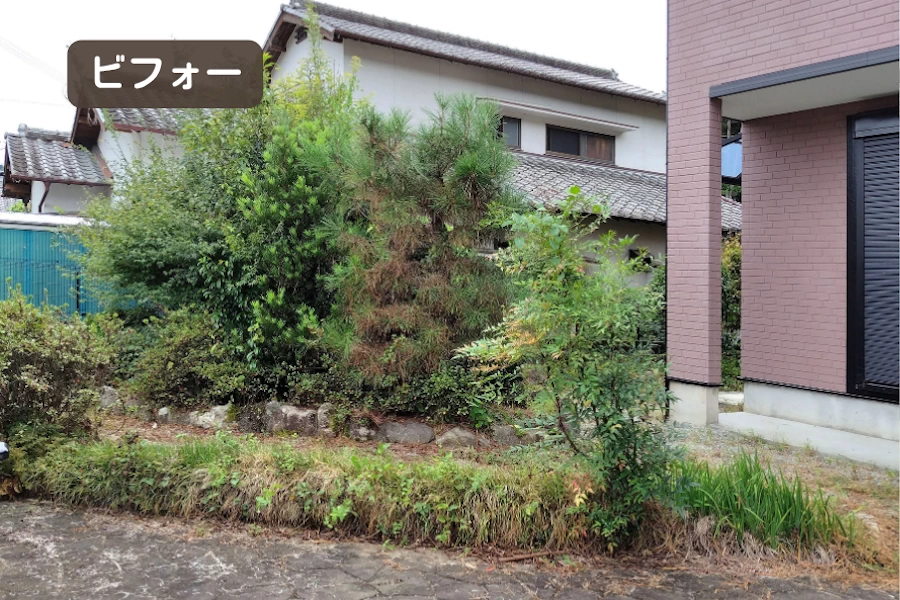 施工前　植木の茂った庭